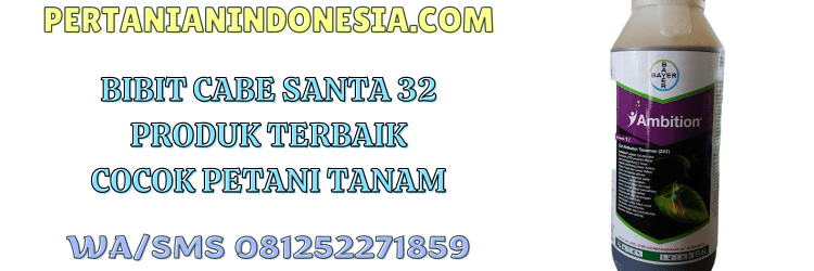ambition,bayer,bayer ambition,petani,ambition bayer,pertanian indonesia